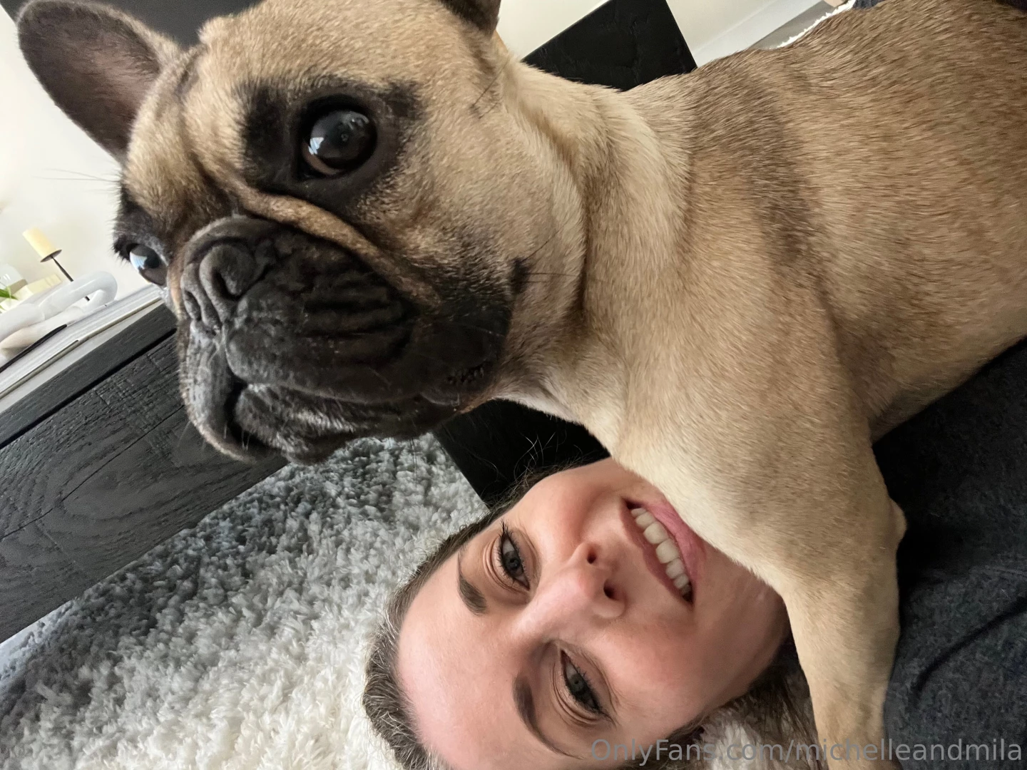 Happy sunday i wanted to share some fascinating facts about our dogs 