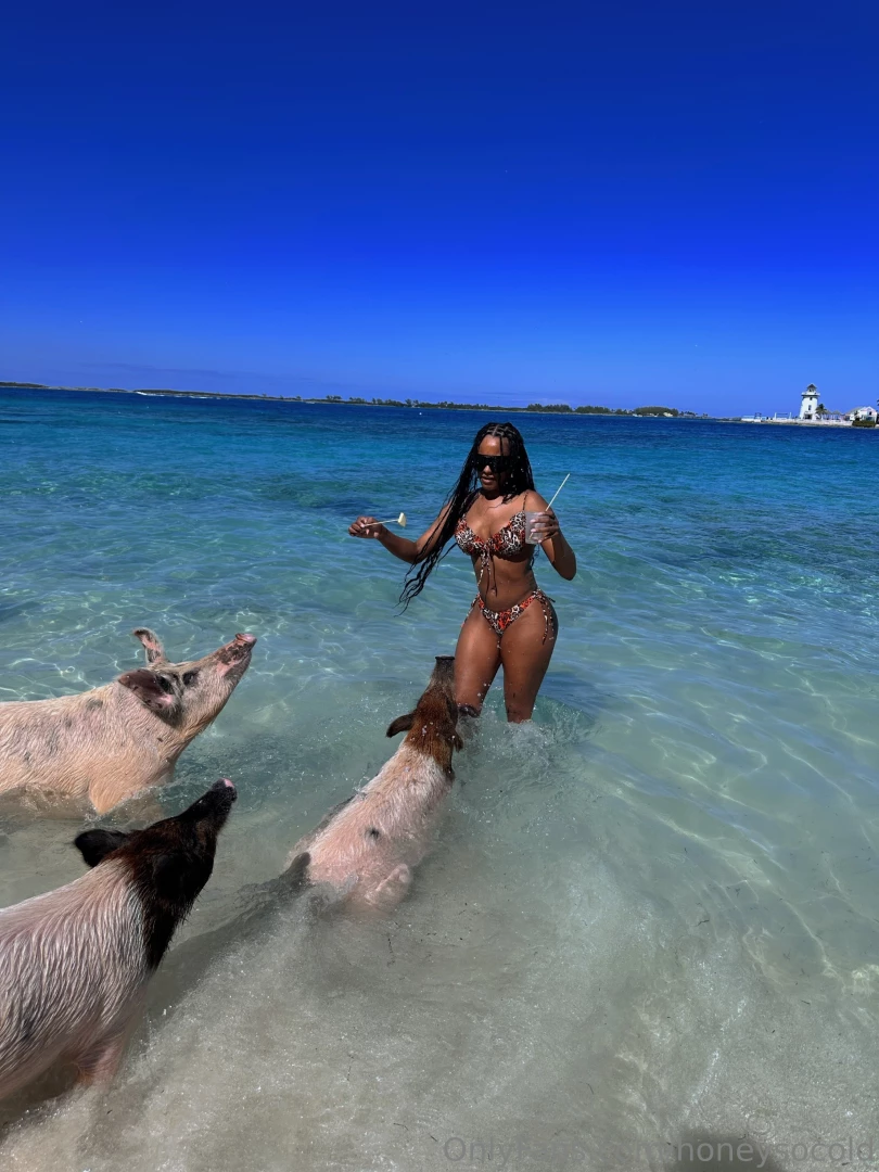 Where should i go for my next trip 