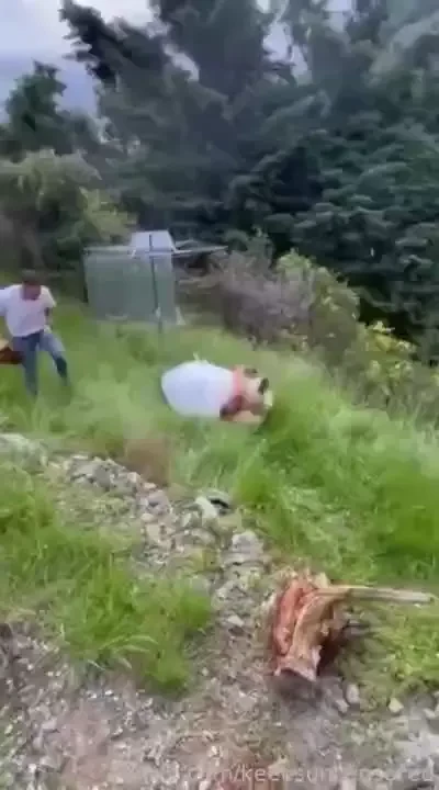 Its my birthday kunts so heres a full feral camera roll dump of random part 4 