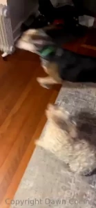 It s sunday and i am way late to post if you re not on my snapchat part 10