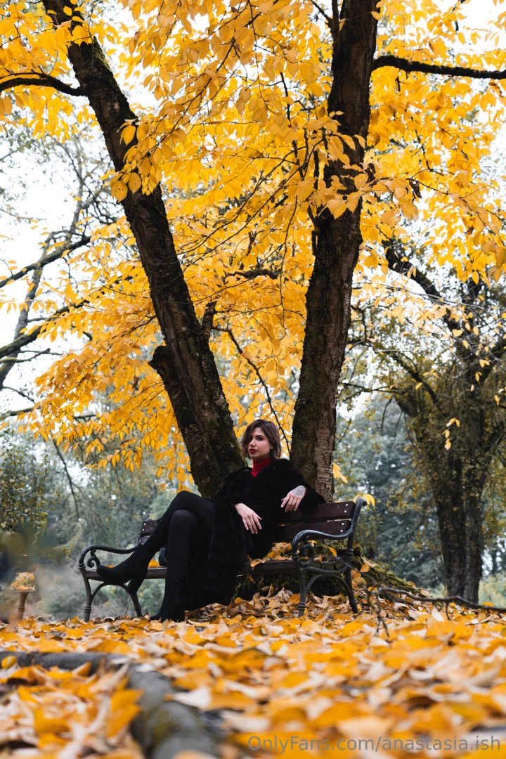 I don t know about you but i already have 100 of the new year s spirit 