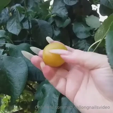 Look at the sharpness of these nails 