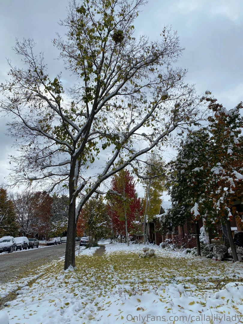 A little of life lately part 6 