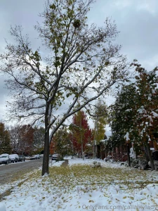 A little of life lately part 6