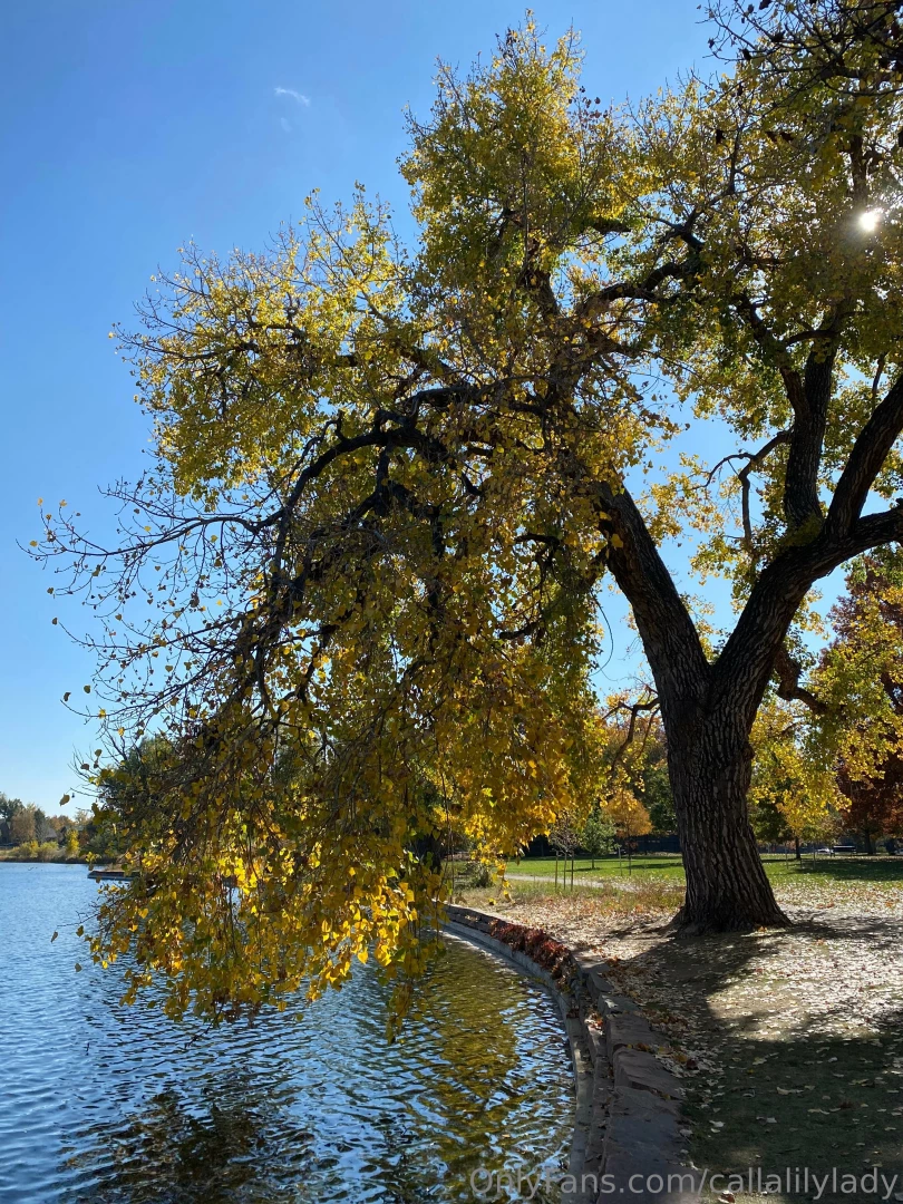 A little of life lately part 5 