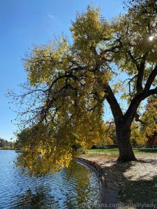 A little of life lately part 5