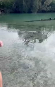 Hanging out with sea turtles amp trying to be a good slut for nature