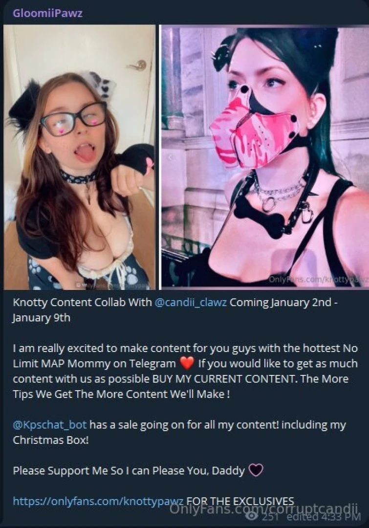 I love the way knottypawz describes our collab she s such a cute kxddo 