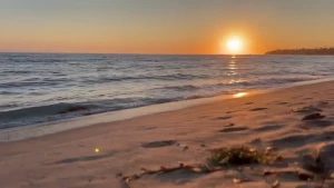 Went to the beach today 3 we watched the sunset and got all sandy