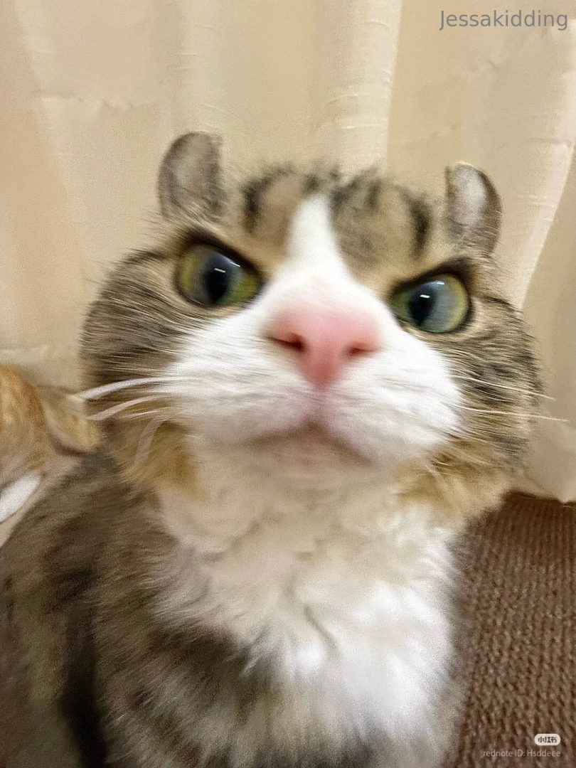 Happy friday have some boob 