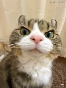 Happy friday have some boob