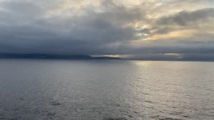 So was in la and mexico on a cruise and finalizing my movie deal it part 9