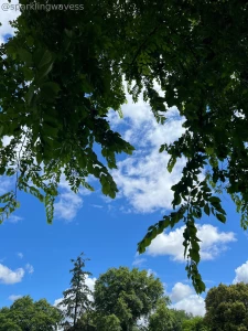 Feeling a lotttt more present and in my body it s so nice i can get part 3