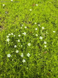 Feeling a lotttt more present and in my body it s so nice i can get