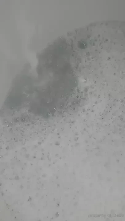 Stellaaeternum part 246000 