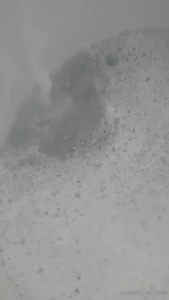 Stellaaeternum part 246000