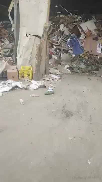 Stellaaeternum part 246233 