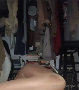 Stellaaeternum part 246612