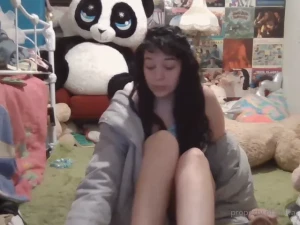 Stellaaeternum part 246790