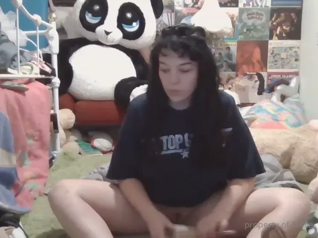 Stellaaeternum part 246833 