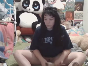 Stellaaeternum part 246833