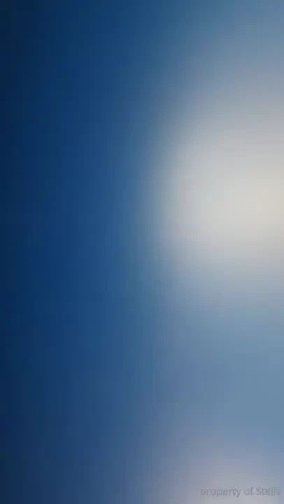 Stellaaeternum part 246887 