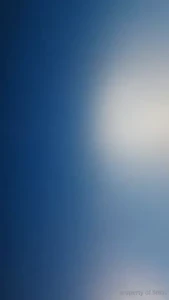 Stellaaeternum part 246887