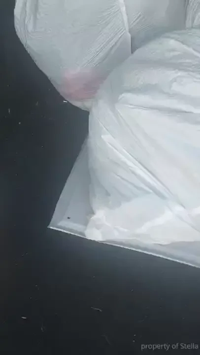 Stellaaeternum part 246915 