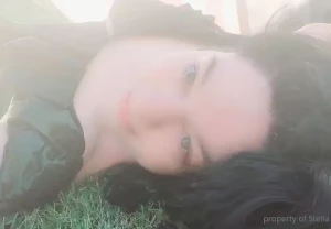 Stellaaeternum part 246920