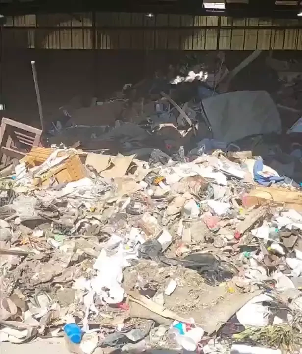 Stellaaeternum part 246952 