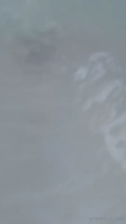 Stellaaeternum part 246958 