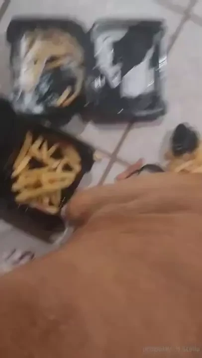 Stellaaeternum part 247057 