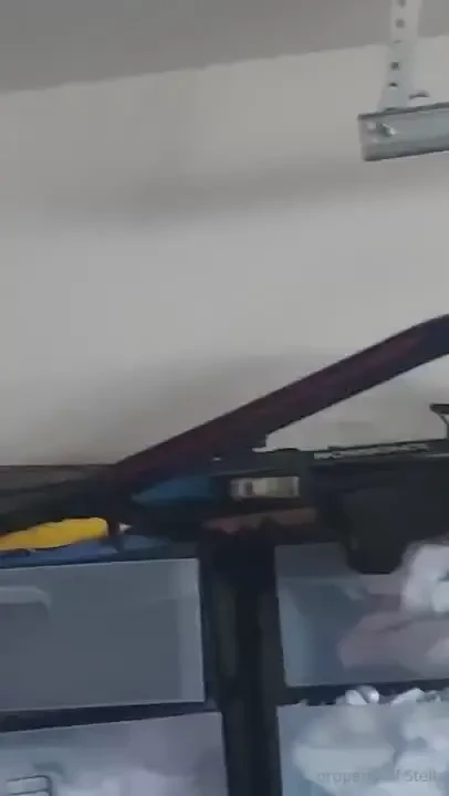 Stellaaeternum part 247109 