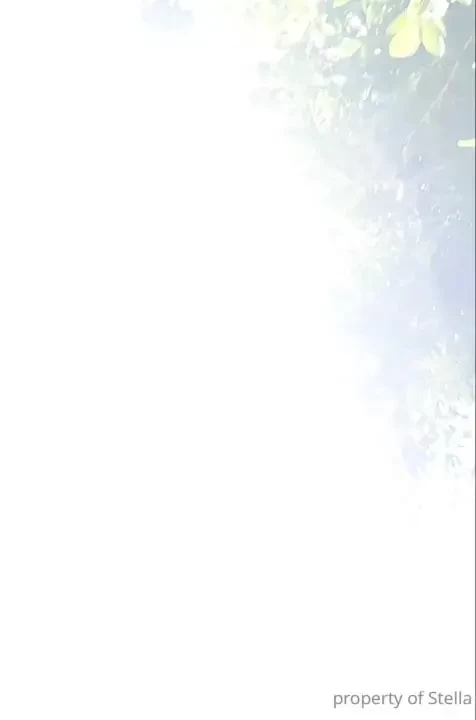 Stellaaeternum part 247116 