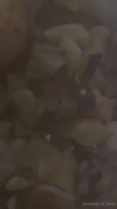 Stellaaeternum part 247188 