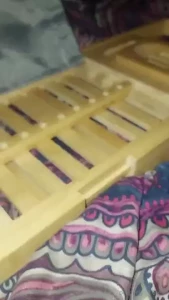 Stellaaeternum part 247605