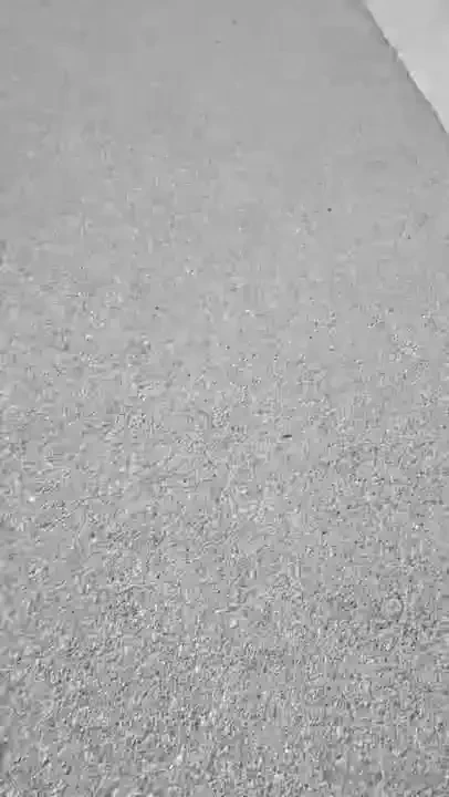 Stellaaeternum part 251621 
