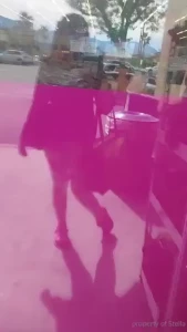 Stellaaeternum part 253778
