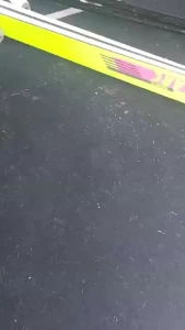 Stellaaeternum part 253841