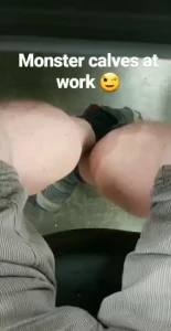 Monster calves at work