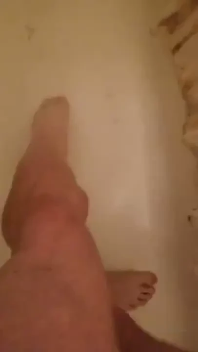 Wet calves in the morning shower 