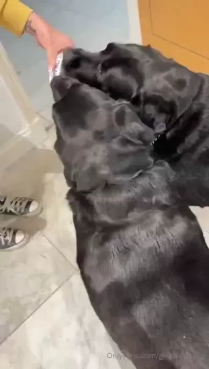 A little bit of something part 2 