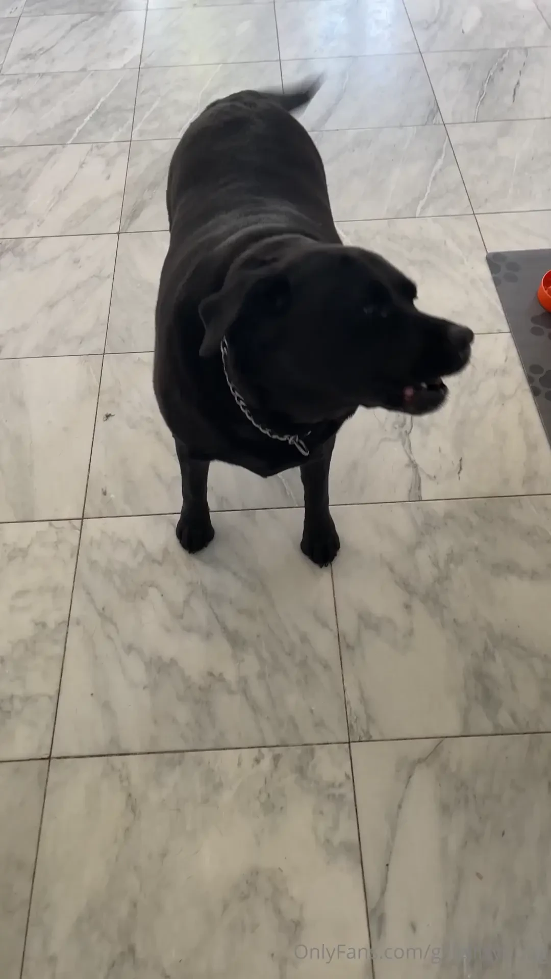 A little bit of something this should hopefully help make some of you 