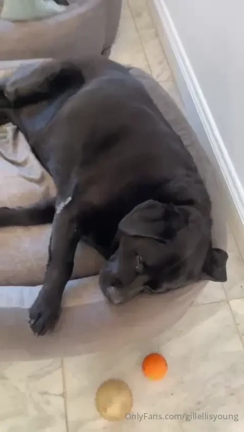 Poppy update and more 