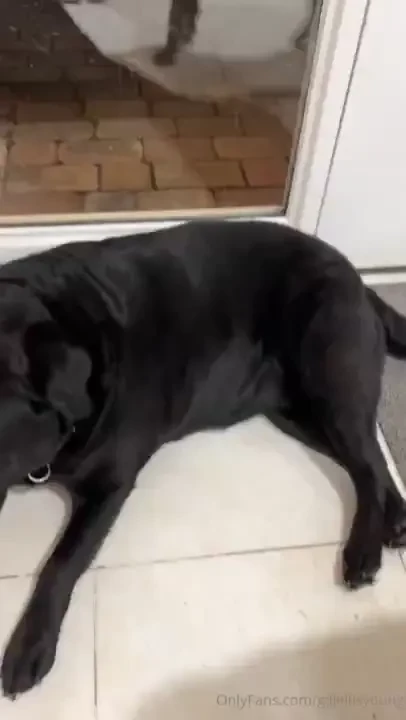 A little bit of nothing and a hello from poppy and hunter 