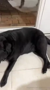 A little bit of nothing and a hello from poppy and hunter