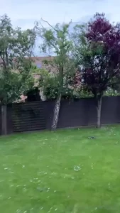 A little bit of nothing part 1