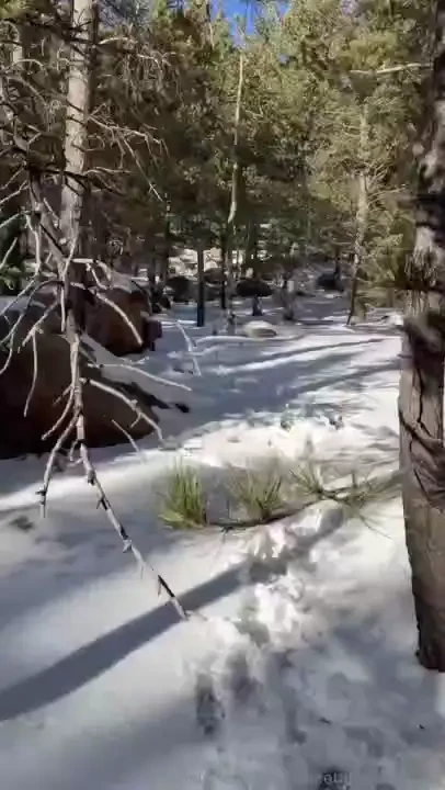 Pov you hear a familiar sound in the woods on your hike you can t 