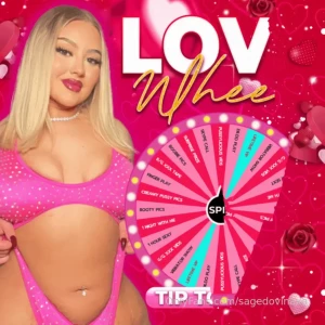 Love wheel i ve filled this wheel with my most requested and exclusive