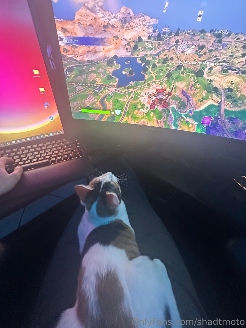 Clementine appreciates all the goodies you guys have been getting her part 1 